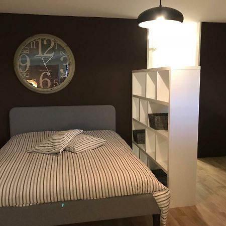 Large Studio Near Epfl And Lausanne City Center Ecublens  Exterior photo